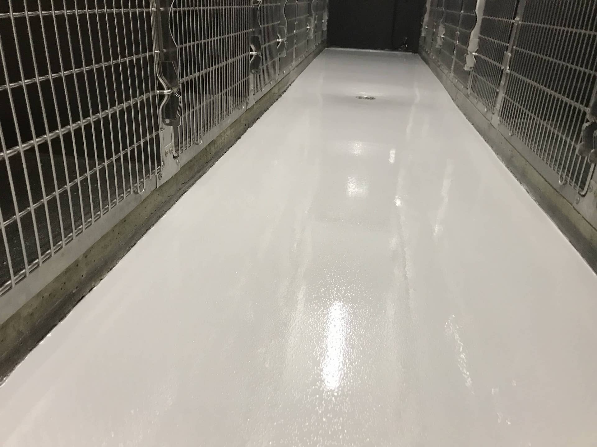 animal-epoxy-1